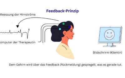 Wie Feedback funktioniert